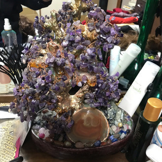 披沙揀金(ひさかんきん) ―家康公逸話集―