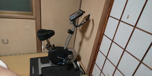 ALINCO(アルインコ)エアロバイクAF6200専用フロアマット&肉厚サドル
