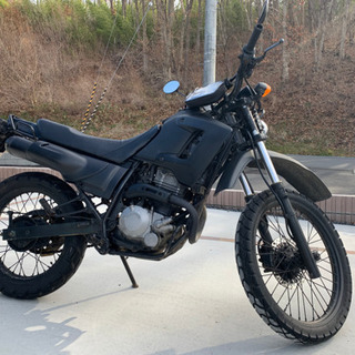 XLディグリー 250 実動車　オフロード  バイク XLディグリー 250 実動車 オフロード バイク