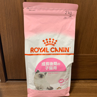 ロイヤルカナン　キトン　2kg 子猫用ドライフード