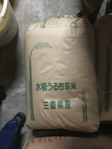 2019年産の白米