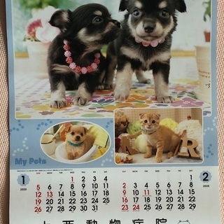 2020年　壁掛けカレンダー（犬猫）
