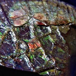 1.9kg！アンモライト (ammolite) カナダ産アンモナイト化石