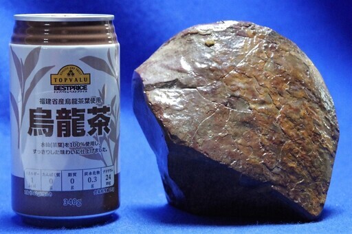 1.9ｋｇ！アンモライト (ammolite) カナダ産アンモナイト化石 | www