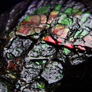 1.9kg！アンモライト (ammolite) カナダ産アンモナイト化石