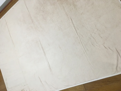 ラグ