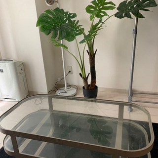 観葉植物、ガラステーブル、間接照明(新品)