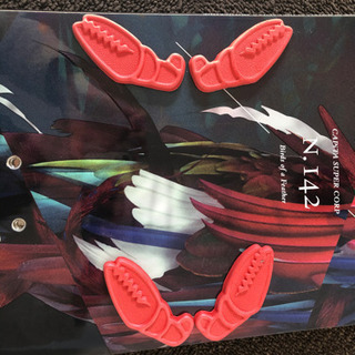 美品CAPITA birds of a feather 17-18モデル　142