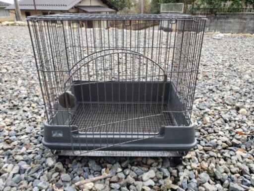 ウサギゲージ