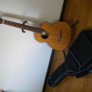 aNueNue Bird Guitar aNN-M12 ミニアコ...