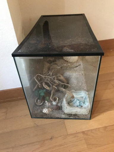オカヤドカリ水槽このままセットで イーマン 杉並のその他の中古あげます 譲ります ジモティーで不用品の処分