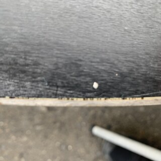 BATALEON 15-16 Disaster 151 (中古)