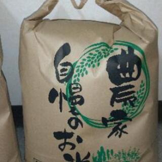 令和元年栃木県産あさひの夢玄米５キロ 1つ