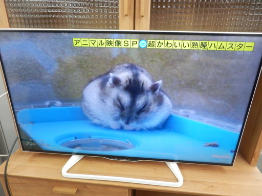 液晶テレビ 40型 2016年製 シャープ LC-40W35B LED AQUOS（アクオス） 40V 40インチ SHARP ペイペイ対応 札幌市西区西野