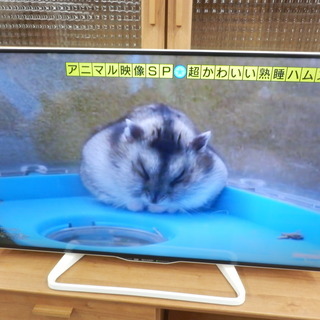液晶テレビ 40型 2016年製 シャープ LC-40W35B LED AQUOS（アクオス