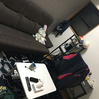 ニトリソファー！