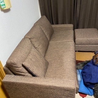 値下げしました。相生市〜明石市配達可能。最終値下げしました、3人