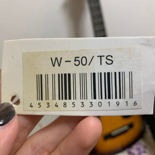 SepiaCrue  W-50/TS  ミニアコースティックギター