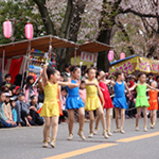 みつわ台桜まつり