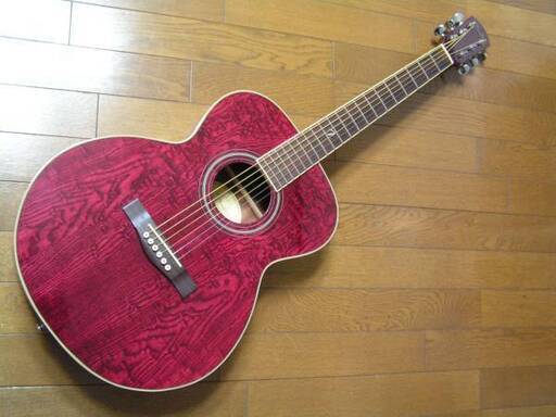 Fender GDO-200 TPL アコースティックギター