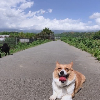 よろしくお願い致します。