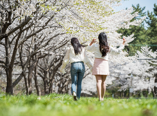 3 28 土 12 00 150名規模 お花見企画 春だ 出会いだ 毎年盛り上がるお花見コン 麻布 有栖川公園 スウィートテラス 広尾のパーティーのイベント参加者募集 無料掲載の掲示板 ジモティー