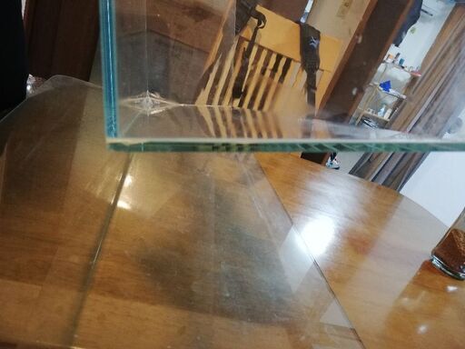 横60cm 奥行き30cm 高さ18cmオールガラス水槽 カー 伊勢原のその他の中古あげます 譲ります ジモティーで不用品の処分 横60cm 奥行き30cm 高さ18cmオールガラス水槽 カー 伊勢原のその他の中古あげます 譲ります ジモティーで不用品の処分
