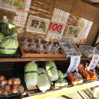 ゆうしん野菜販売100円市🍀(* ॑ω ॑*  )