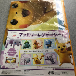 取引中、新品⭐︎ポケモンレジャーシート