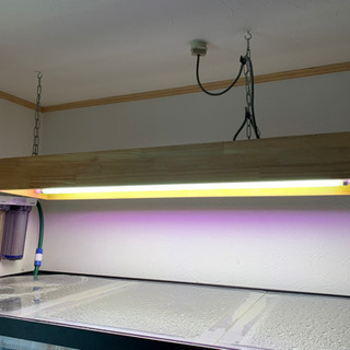 Marfiedオーダー品1800水槽・1200ろ過水槽 オーバーフロー設備一式 