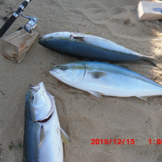 ★☆稀少★DAIWA/ダイワ　TOURNAMENT-Z 3000iA