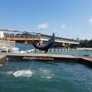 熊本県のポケモンgo メンバー募集 ジモティー