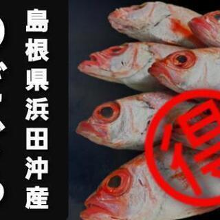島根県浜田沖の最高級魚 のどぐろ 直送します 日本海のどぐろ本舗 西宮のその他の無料広告 無料掲載の掲示板 ジモティー