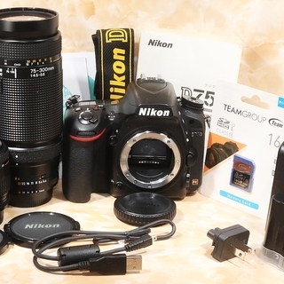 ☆極上美品＆ショット数8579回極小＆16GBSD付☆ニコン D750 ダブル