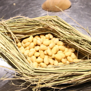 古式ゆかしい自然栽培の熟成藁苞納豆造り 2月9日 - 教室・スクール