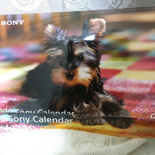 可愛い仔犬　カレンダー2020
