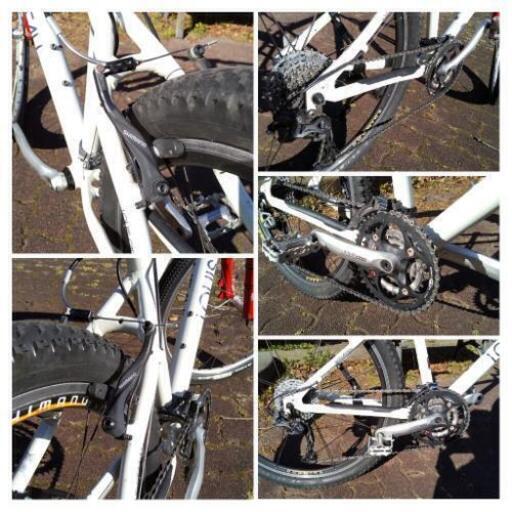 LOUIS GARNEAU ルイガノマウンテンバイク | www.buenosmuchachos.cl