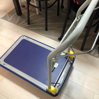 販売済み Fabienne jouvin 長方形皿 貴重