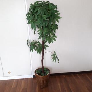 光触媒　人工　観葉植物　約153cm　パキラ