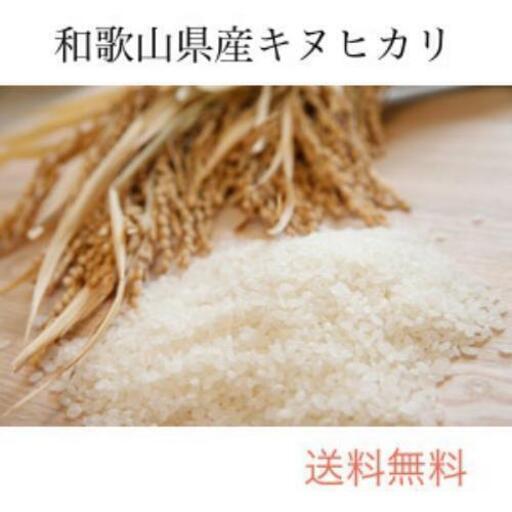 1月26日(日)限定！お米 30kg 和歌山県産 キヌヒカリ