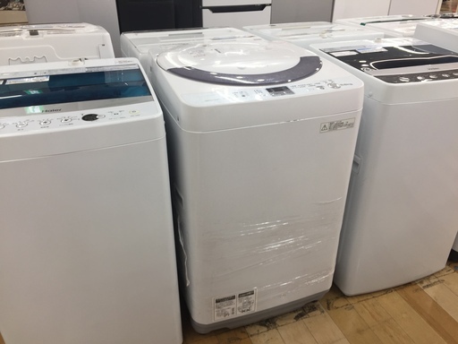 SHARP　5.5ｋｇ　6ヶ月保証　全自動洗濯機　【トレファク岸和田店】