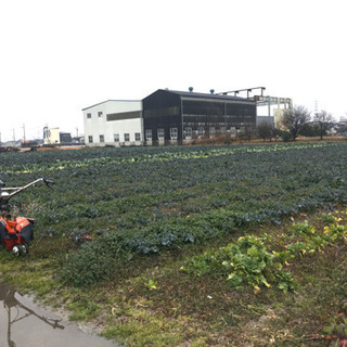 【名古屋市港区】農園で旬の野菜を収穫体験 with 野菜のアート工作