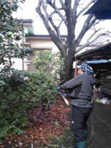 庭師はじめませんか まずは掃除体験からスタート 未経験ok 竹庭苑 多磨のその他の無料求人広告 アルバイト バイト募集情報 ジモティー