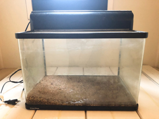 ★ 水槽 横約45cm✖️約30cm✖️約29cm ★おまけ付き