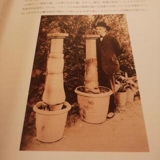 【シミ、キズあり】ジャン・アンリ・ファーブルのきのこ ジャン・アンリ・ファーブルのきのこ | nostos books ノストス