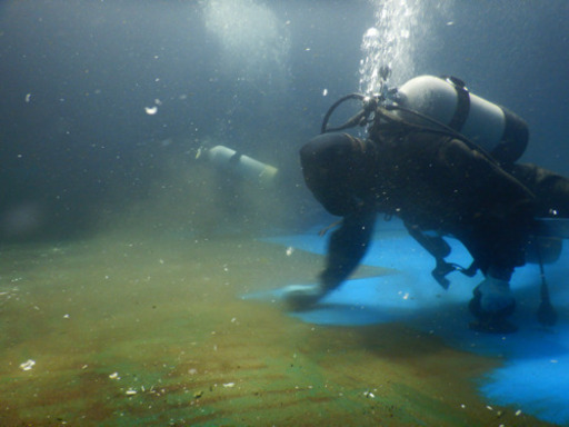 元気のある潜水作業員募集します 株 St You 淀屋橋のその他の無料求人広告 アルバイト バイト募集情報 ジモティー