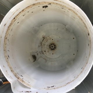 東芝7.0K洗濯機2015年製！！　分解クリーニング済み！！！トップカバー　フタ　バックカバー新品交換！！ 東芝7.0K洗濯機2015年製！！ 分解クリーニング済み！！！トップカバー