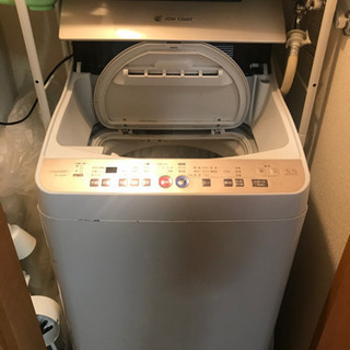 SHARP 全自動洗濯機 5.5kg  ES-TG55H 【2月...