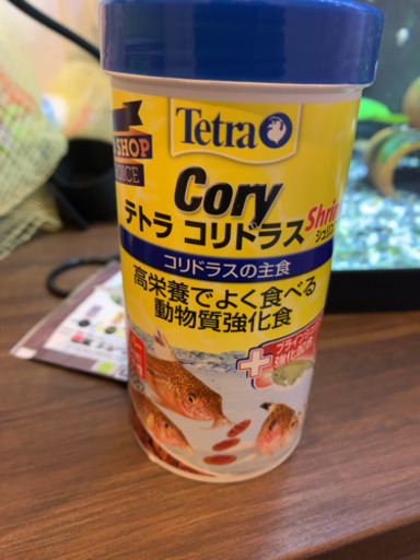 テトラコリドラス シュリンプ てっちゃん 浜の宮のその他の中古あげます 譲ります ジモティーで不用品の処分