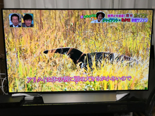 美品　LG  55型 有機ELテレビ　OLED55C7P 2017年製